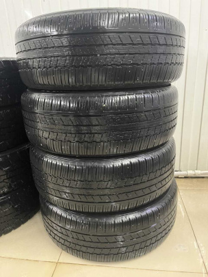 Шины Dunlop  Летние 225/55/19