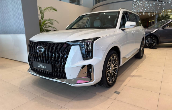 GAC GS8 ll FL Джи Икс Премиум - GX Premium 2.0 АКП полный привод (231) 26 г.в. 25 м.г.